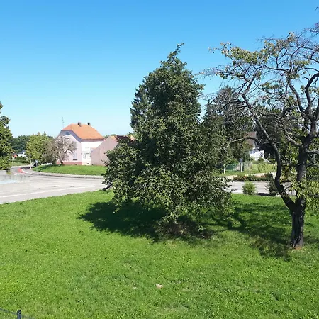 Le Cocon D'alsace Guest house Folgensbourg